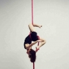 Aerialist 108