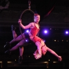 Aerialist 61