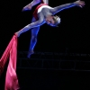 Aerialist 61