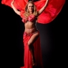 Bellydancer 115