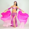 Bellydancer 145