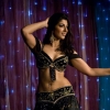 Bellydancer 48