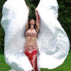 Bellydancer 3