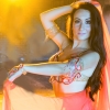 Bellydancer 66