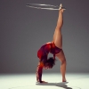 Acrobat 42