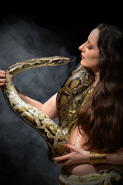 Snake charmer 54 in an Arabian costume, with a python near London.