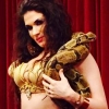 Snake charmer 3